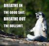 Breathe in the good shit. Breathe out the bullshit.